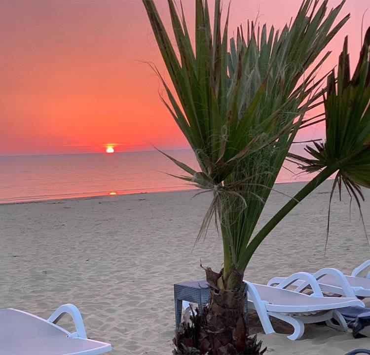 Le Comptoir De L'Océan - restaurant BUSSAC-SUR-CHARENTE